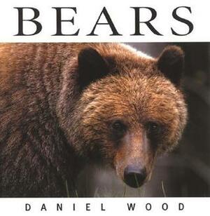 Bears by Daniel Wood