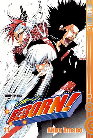 Reborn!, Band 11 by Akira Amano