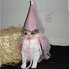meebs9's profile picture