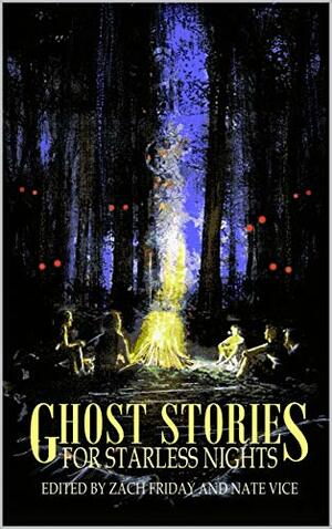 Ghost Stories for Starless Nights by Clark Boyd, Nate Vice, R.C. Mulhare, Madison Estes, Stanley B. Webb, Heinrich von Wolfcastle, Tim Jeffreys, Vaughan Stanger, Zach Friday, Diane Arrelle, M.B. Vujačić, J.S. Rogers, Justin Zimmerman, Evan Purcell, Marc Joan, Carl Hughes, Sarah Cannavo, W.T. Paterson, Henry Snider, J.A.W. McCarthy, Phil Stressman, Sam Hicks, S.M. Cunningham, Jeremy Megargee