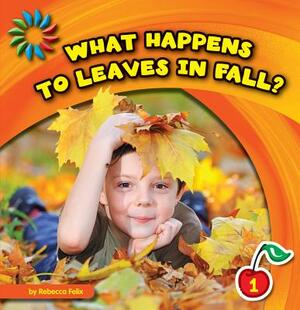 What Happens to Leaves in Fall? by Rebecca Felix