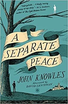 Uma ilha de paz by John Knowles