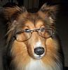 oysterflesh's profile picture