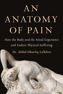 Anatomy of Pain by Abdul-Ghaaliq Lalkhen