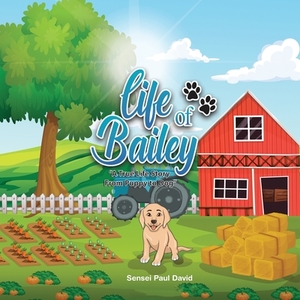 Life of Bailey: A True Life Story From Puppy To Dog by Sensei Paul David