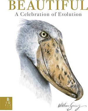 Beautiful: A Celebration of Evolution by William Spring