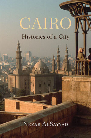 القاهرة تواريخ مدينة by نزار الصياد