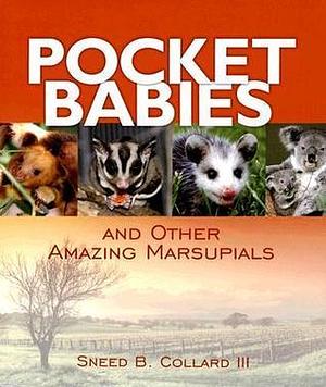 Pocket Babies by Sneed B. Collard, Sneed B. Collard