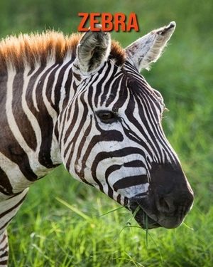 Zebra: Learn About Zebra and Enjoy Colorful Pictures by Matilda Leo