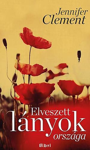 Elveszett lányok országa by Jennifer Clement