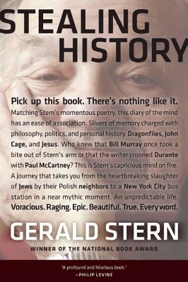 Stealing History by Gerald Stern