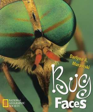 Bug Faces by Darlyne A. Murawski