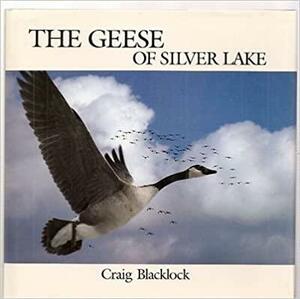 The Geese of Silver Lake by Craig Blacklock