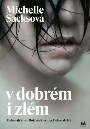 V dobrém i zlém by Michelle Sacks