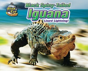 Black Spiny-Tailed Iguana: Lizard Lightning! by Natalie Lunis