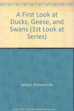 A First Look at Ducks, Geese, and Swans by Millicent E. Selsam, Joyce Hunt