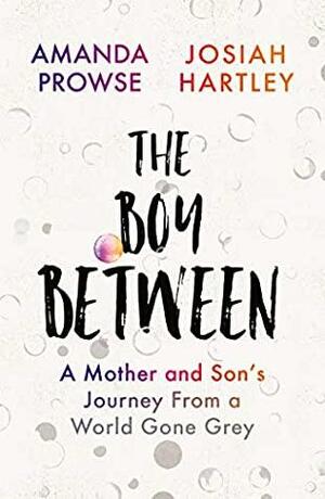 The Boy Between: A Mother and Son's Journey From a World Gone Grey by Amanda Prowse, Josiah Hartley