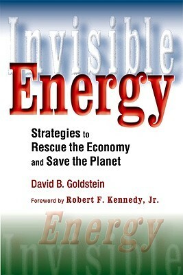 Invisible Energy: Strategies to Rescue the Economy and Save the Planet by David B. Goldstein