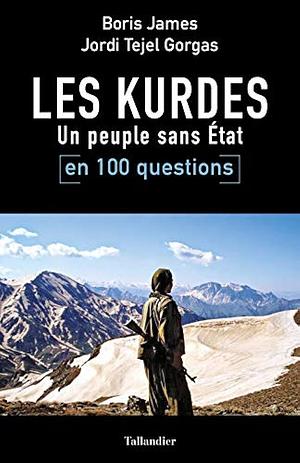 Les Kurdes en 100 questions: un peuple sans État by Jordi Tejel Gorgas, Boris James