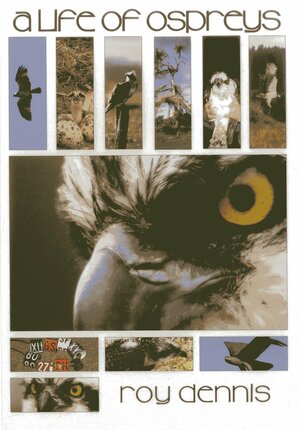 A Life of Ospreys by Roy Dennis