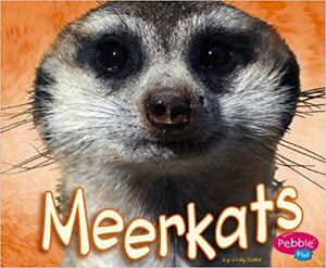 Meerkats by Jody Sullivan Rake