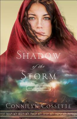 Shadow of the Storm by Connilyn Cossette