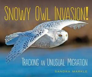 Snowy Owl Invasion! by Sandra Markle