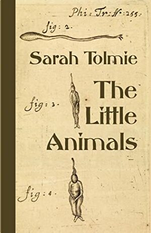 The Little Animals by Sarah Tolmie
