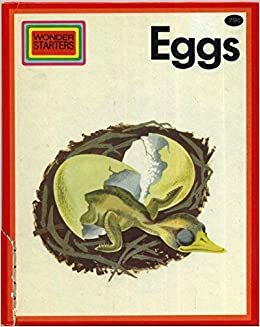 wonder starters- eggs by Esme Eve