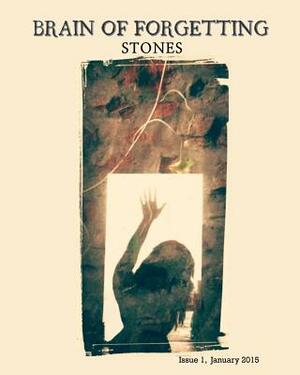 Brain of Forgetting: Stones by Bernadette McCarthy, Tom Jordan