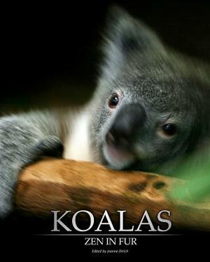 Koalas: Zen in Fur, Bw Edition by Joanne Ehrich