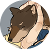 kangdile's profile picture