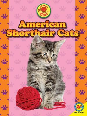 American Shorthair Cats by John Willis, Nancy Furstinger