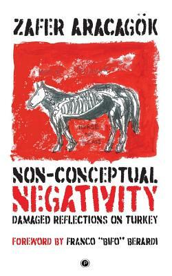 Non-Conceptual Negativity: Damaged Reflections on Turkey by Zafer Aracagök