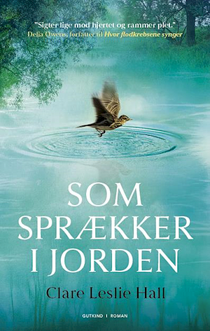 Som sprækker i jorden by Clare Leslie Hall