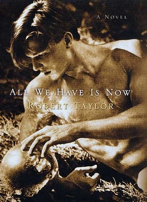 All We Have Is Now by Robert Taylor