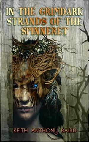 In the Grimdark Strands of the Spinneret: A Fairy Tale For Elders by Keith Anthony Baird