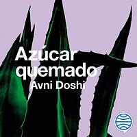 Azúcar quemado by Avni Doshi