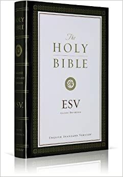 Bibelen: Den Hellige Skrift by Anonymous