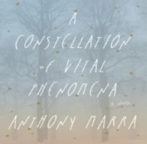 A Constellation of Vital Phenomena  by Anthony Marra