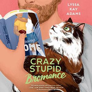 Crazy Stupid Bromance by Lyssa Kay Adams