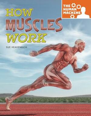 How Muscles Work by Sue Heavenrich