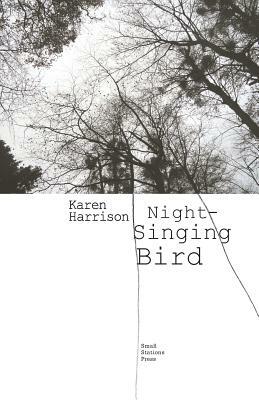 Night-Singing Bird by Karen Harrison