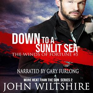 Down To A Sunlit Sea by John Wiltshire