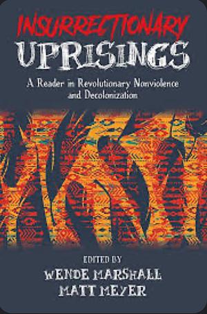 Insurrectionary Uprisings: A Reader in Revolutionary Nonviolence and Decolonization by Wende Marshall, Matt Meyer