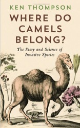 Where Do Camels Belong? by Ken Thompson
