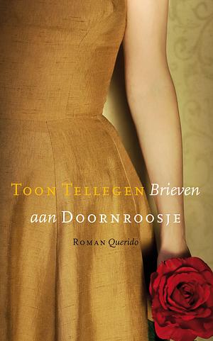 Brieven aan Doornroosje by Toon Tellegen