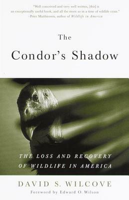 The Condor's Shadow: The Loss and Recovery of Wildlife in America by David S. Wilcove