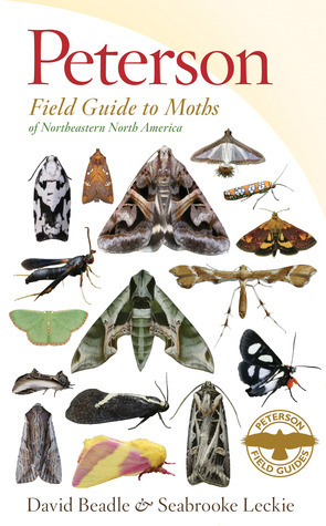 Peterson Field Guide to Moths of Northeastern North America by David Beadle, Seabrooke Leckie