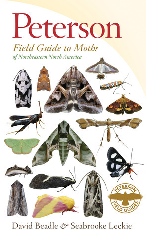 Peterson Field Guide to Moths of Northeastern North America by Seabrooke Leckie, David Beadle